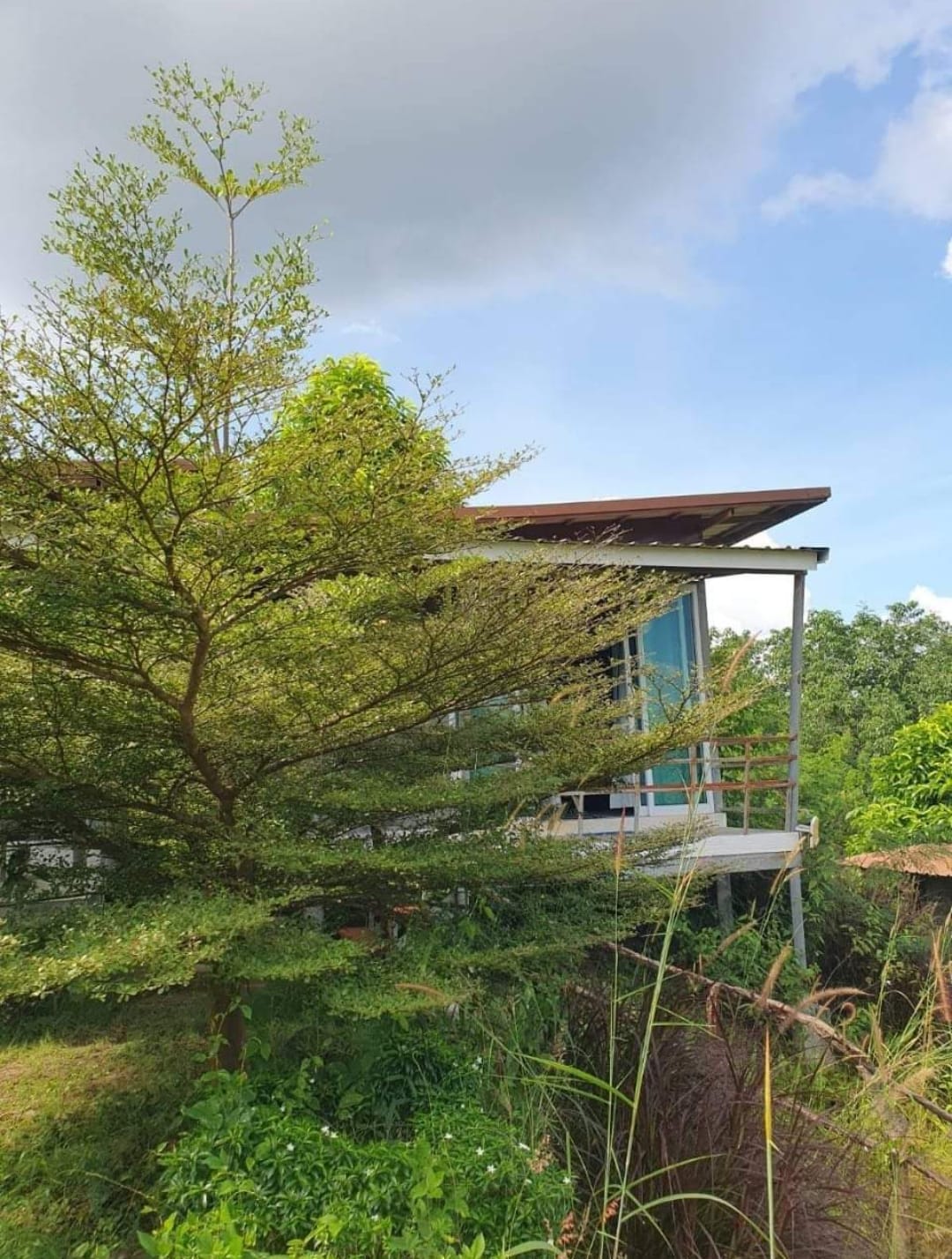 SKY Clamping วังน้ำเขียว11