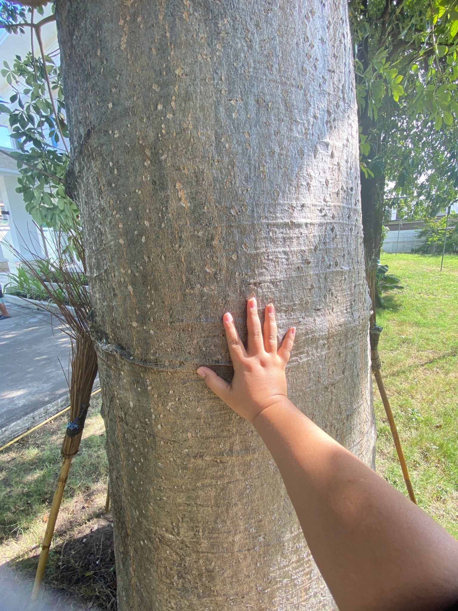 ที่ดินพร้อมบ้าน ติดทางขึ้นลงทางด่วนสุขาภิบาล 5-37