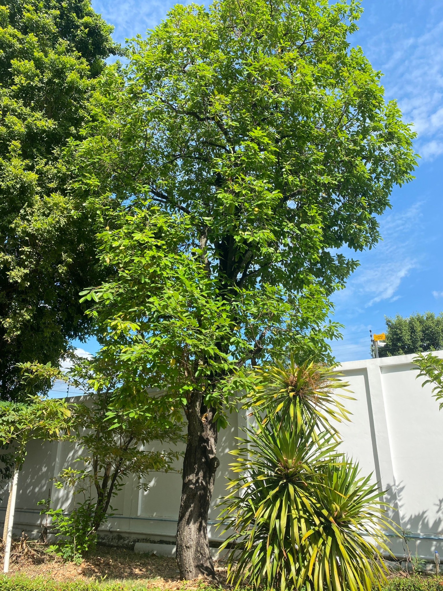 ที่ดินพร้อมบ้าน ติดทางขึ้นลงทางด่วนสุขาภิบาล 5-38