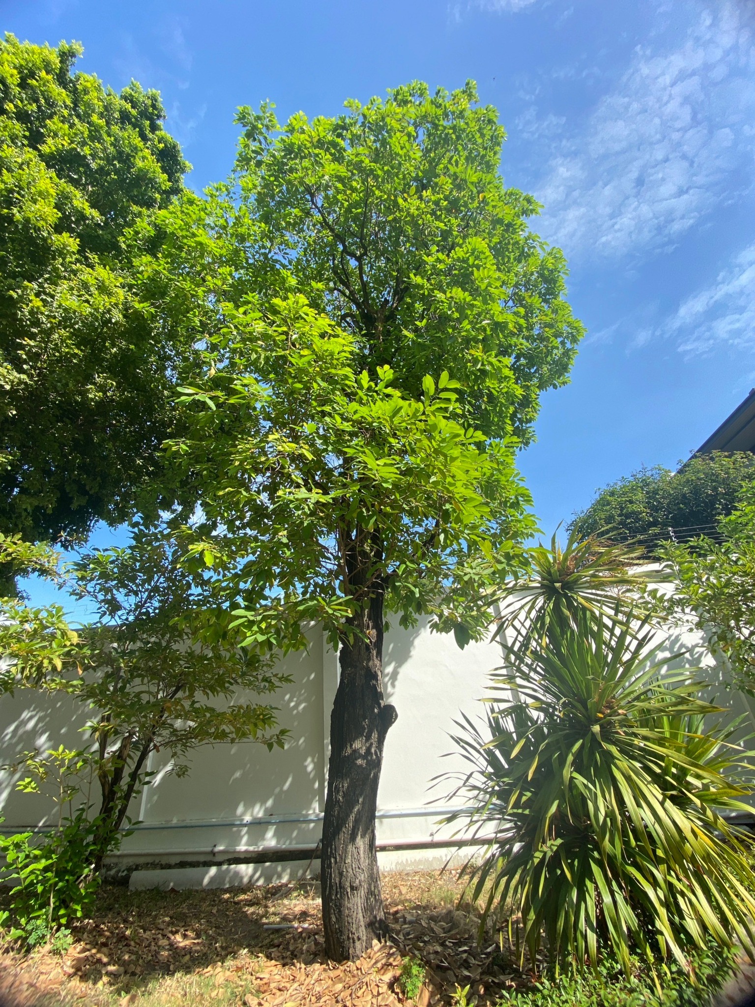 ที่ดินพร้อมบ้าน ติดทางขึ้นลงทางด่วนสุขาภิบาล 5-39