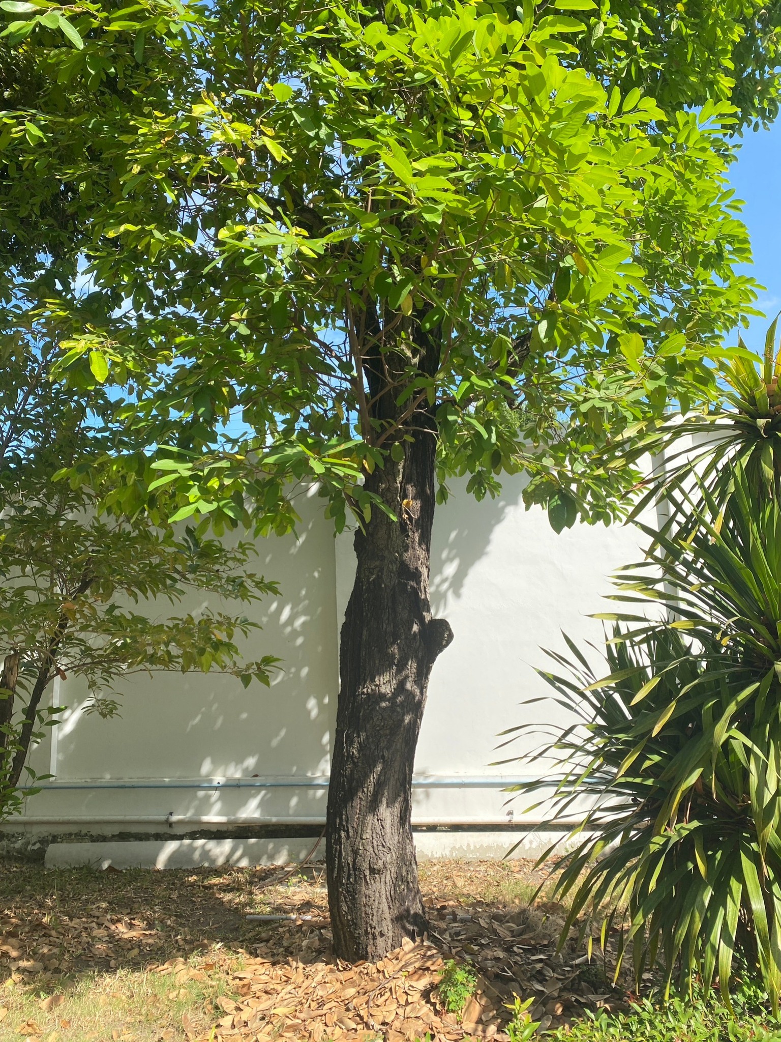 ที่ดินพร้อมบ้าน ติดทางขึ้นลงทางด่วนสุขาภิบาล 5-40