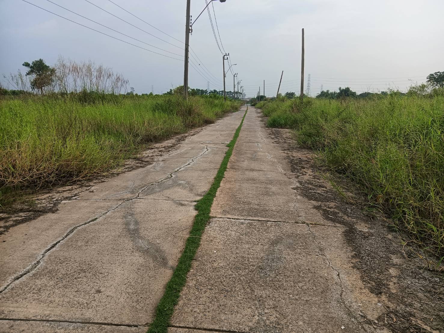 ที่ดินเปล่า ถมแล้วระดับถนนโครงการฉลองกรุงการ์เด้น ซอยวัดอู่ตะเภา 7