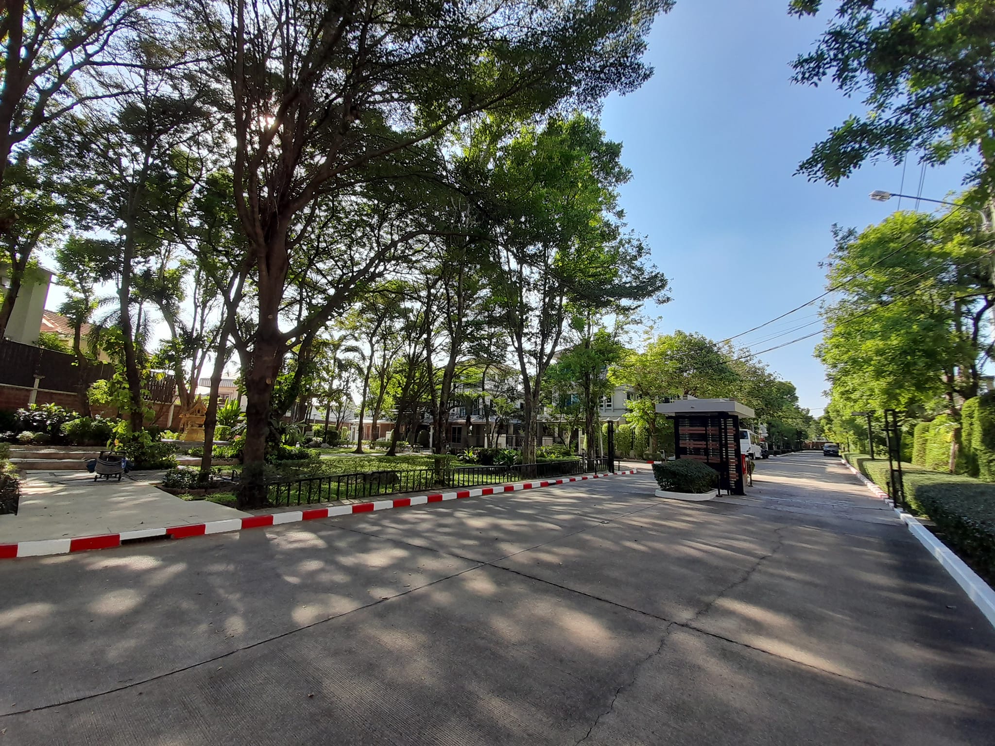 บางกอกบูเลอวาร์ด ลาดปลาเค้า11