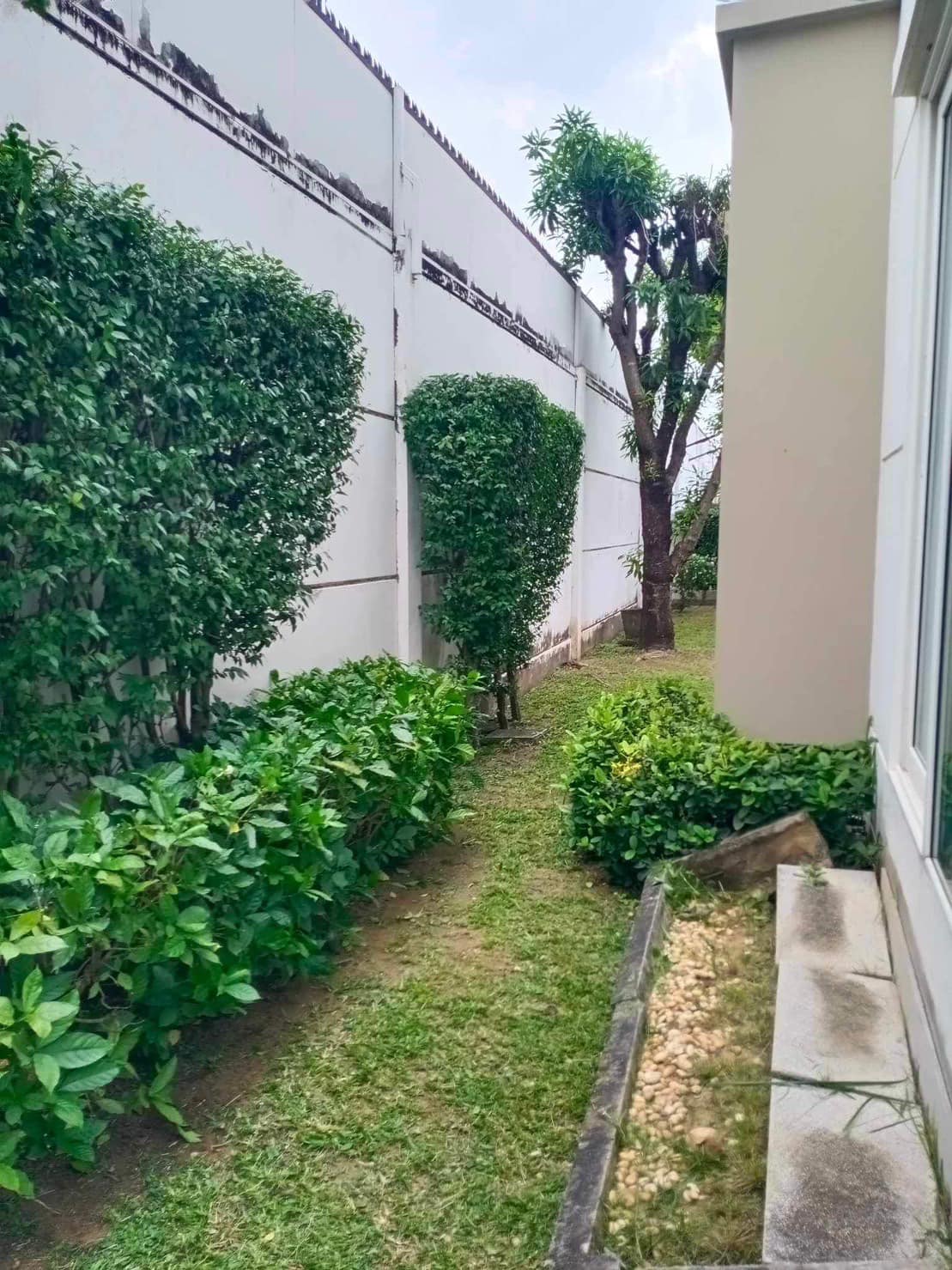 หมู่บ้าน ชัยพฤกษ์วงแหวนรามอินทรา23