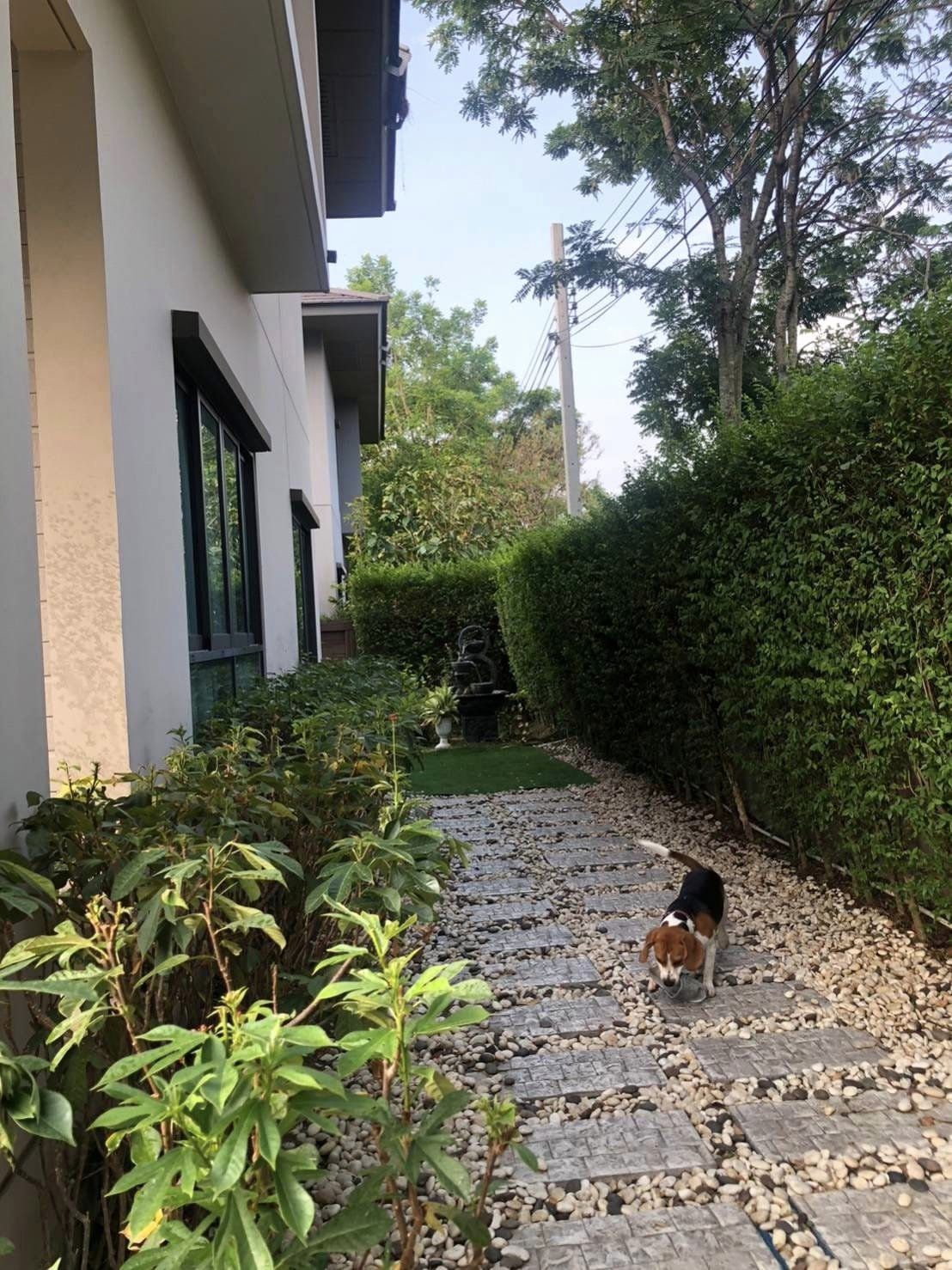 หมู่บ้านเศรษฐสิริ ปิ่นเกล้า-กาญจนาฯ14