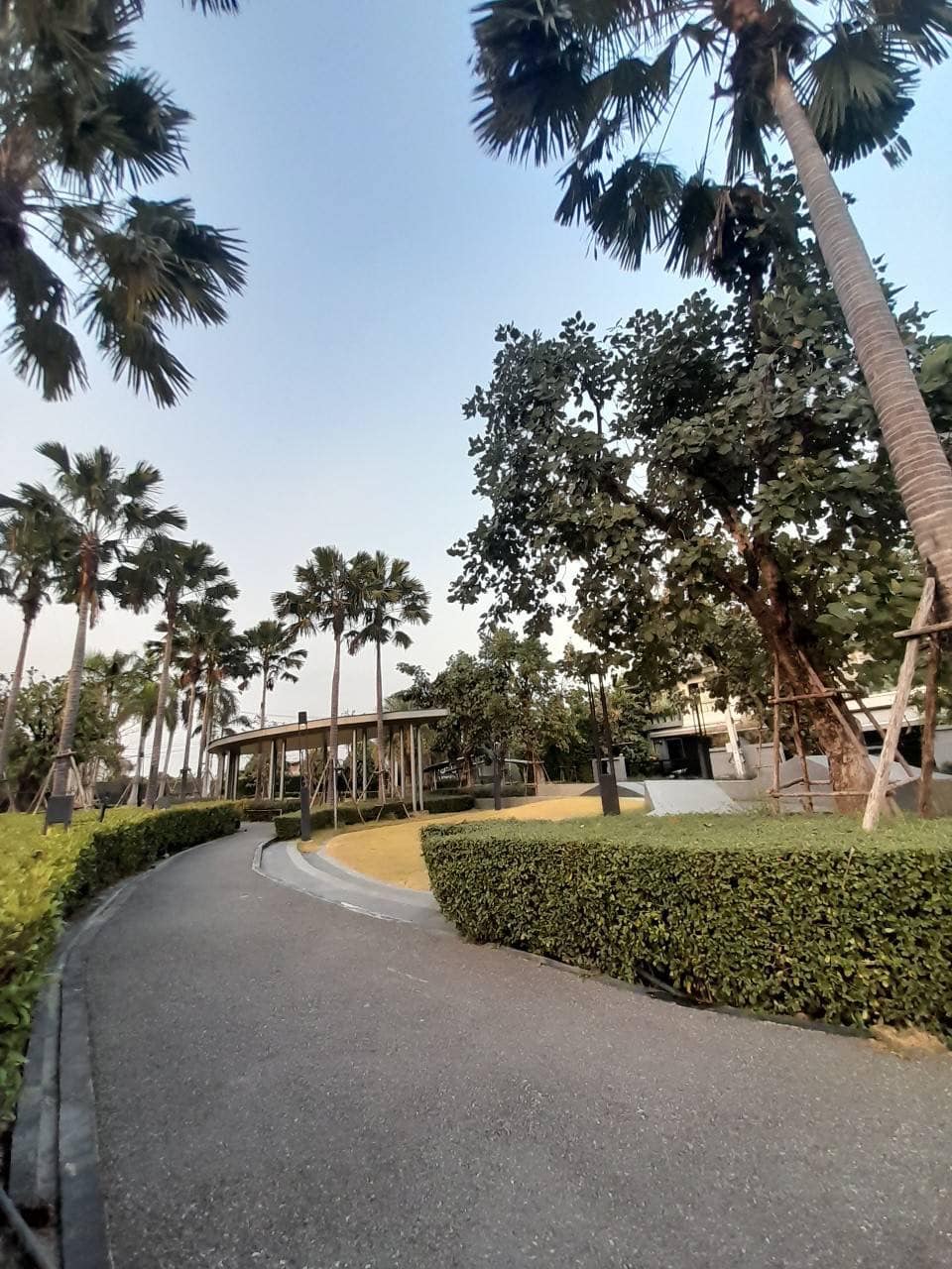 เดอะปาล์ม กรุงเทพกรีฑา-วงแหวน17