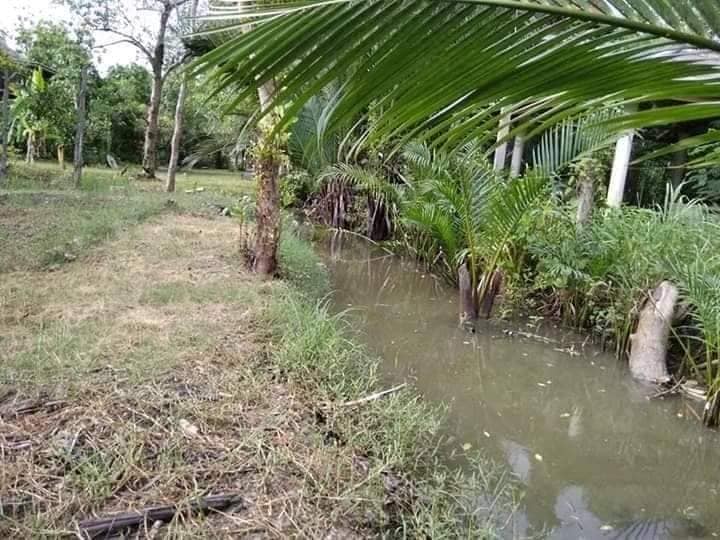 แม่กลองแคมป์11