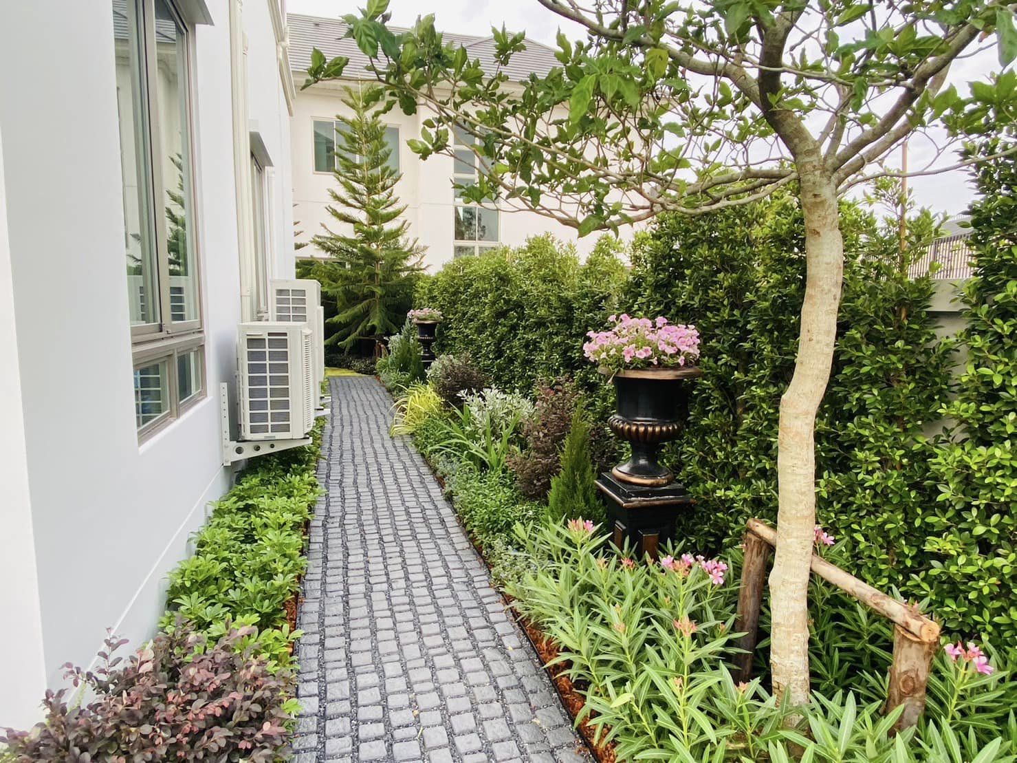 Perfect Masterpiece กรุงเทพกรีฑา37