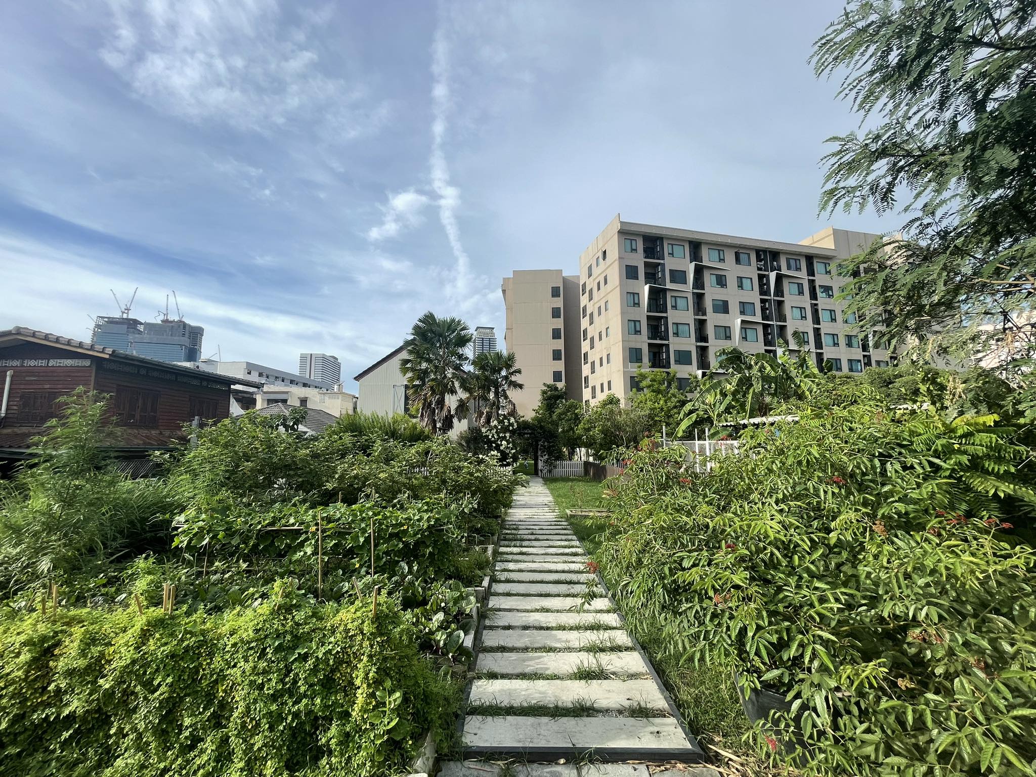 ขายบ้านในซอยประสาทสุข ถนนเย็นอากาศ6