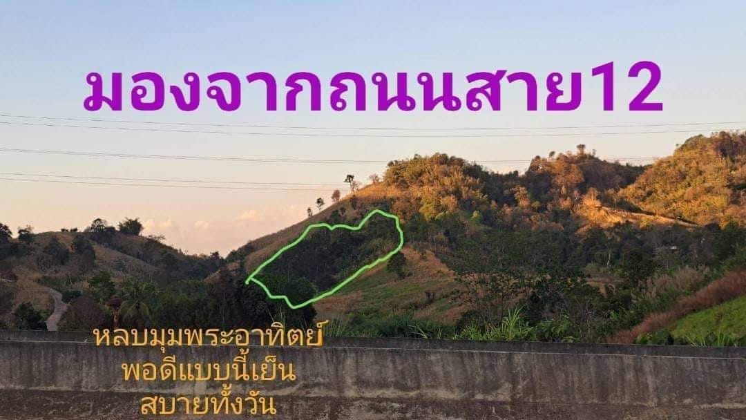 ที่ดิน นส.3ก 150ตร.วา เขาค้อ6